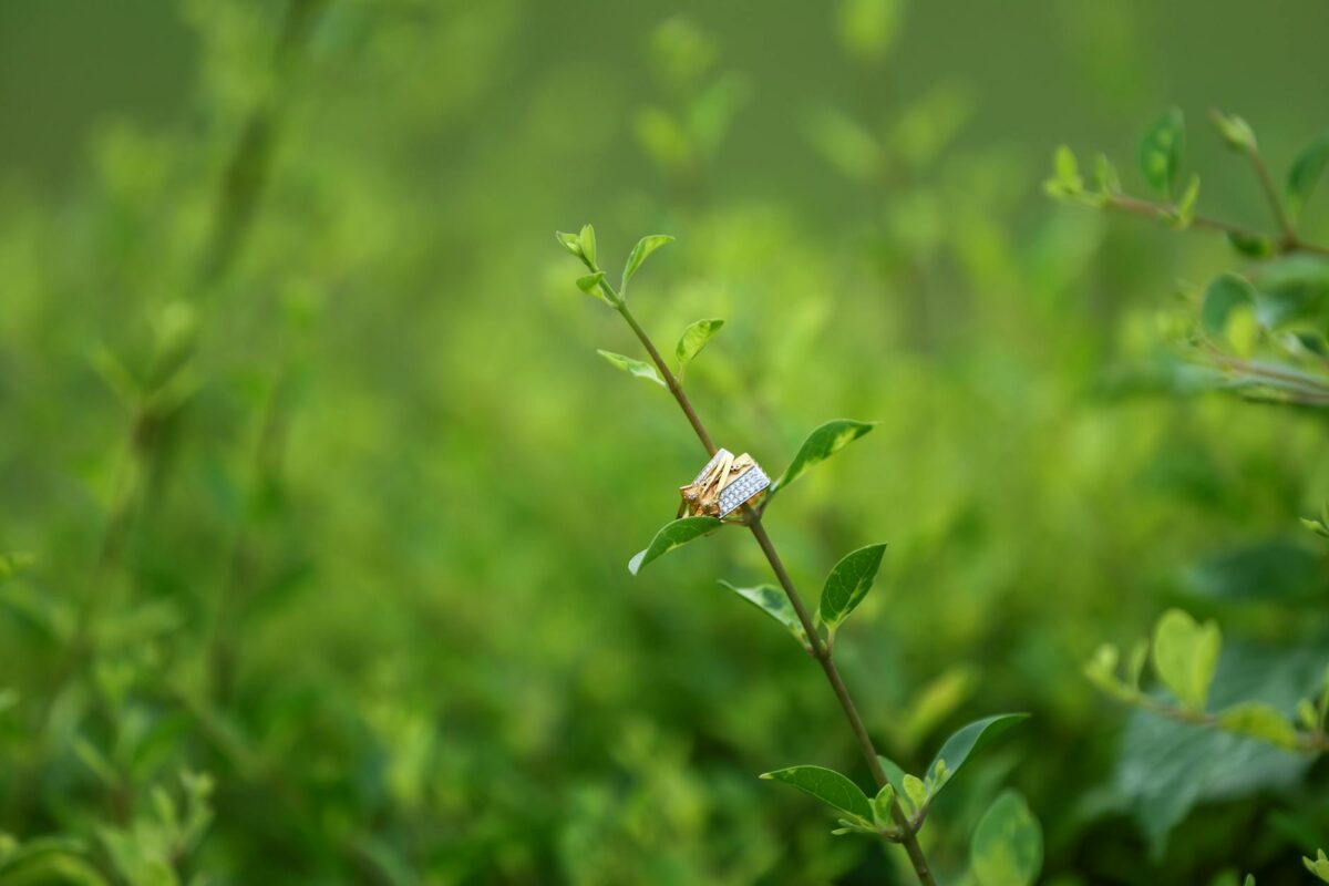 Otkup zlatnog prstenja, minđuša i ogrlica uz brzu procenu vrednosti nakita.